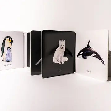 Black and White Contrast Book